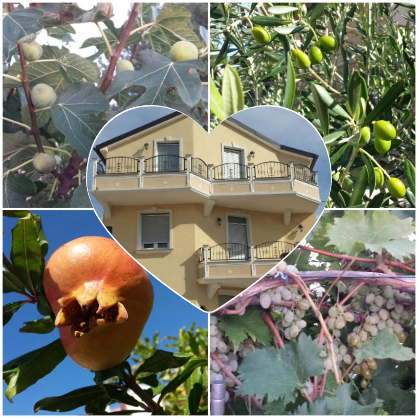 Villa Magdalena Водице Екстер'єр фото